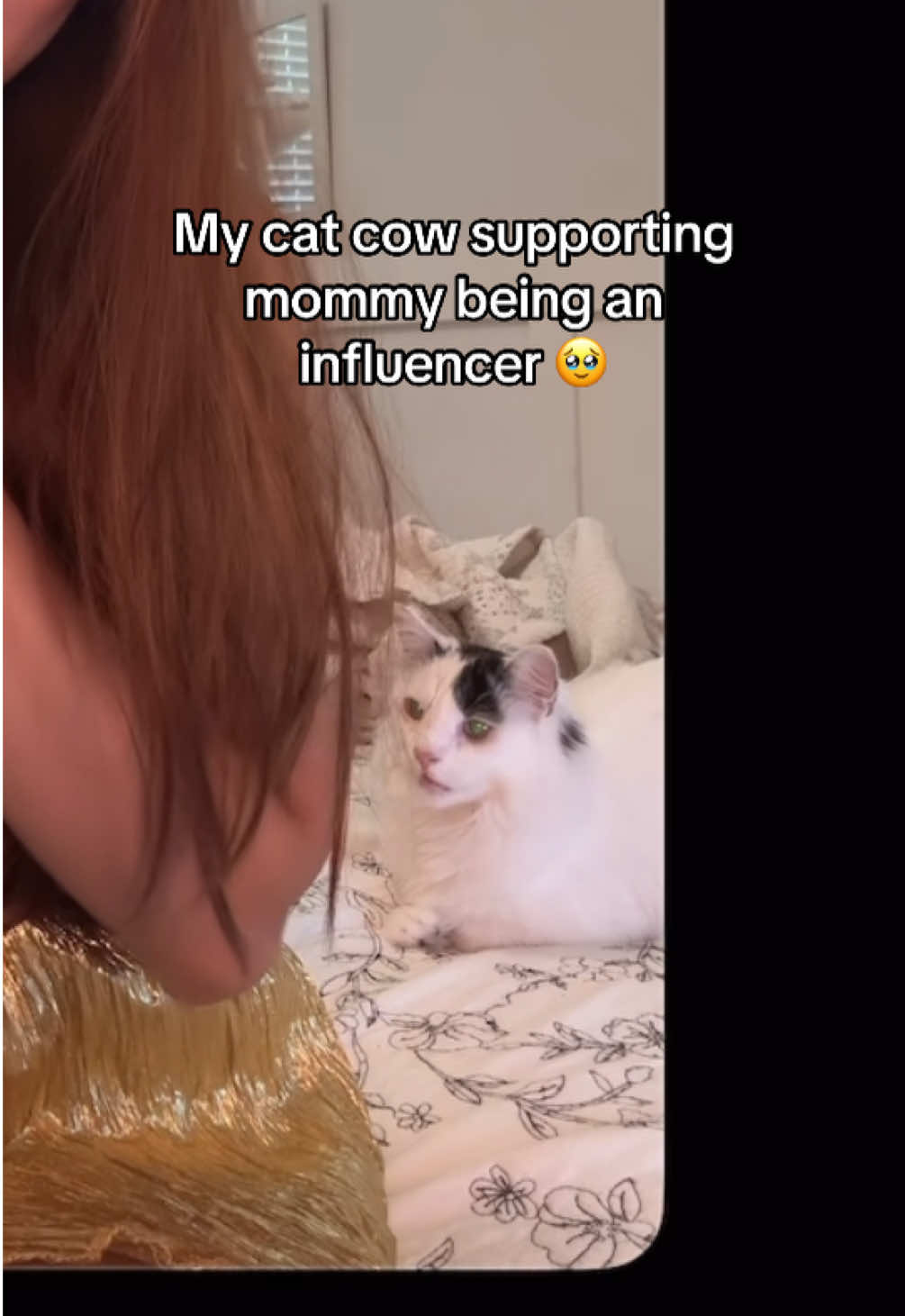 My biggest supporter 🥺💕 #cat #influencerlife 