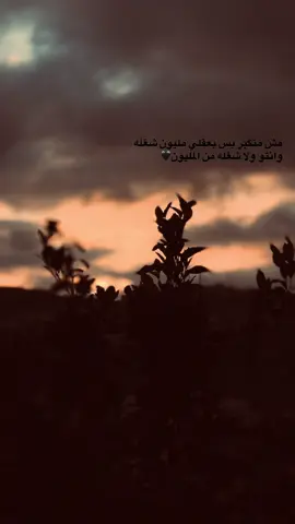 مش متكبر بس بعقلي مليون شغله. وانتو ولا شغله من المليون#blak🖤 #ahmad_alshalbi🐍🖤 #عباراتكم_الفخمه📿📌 