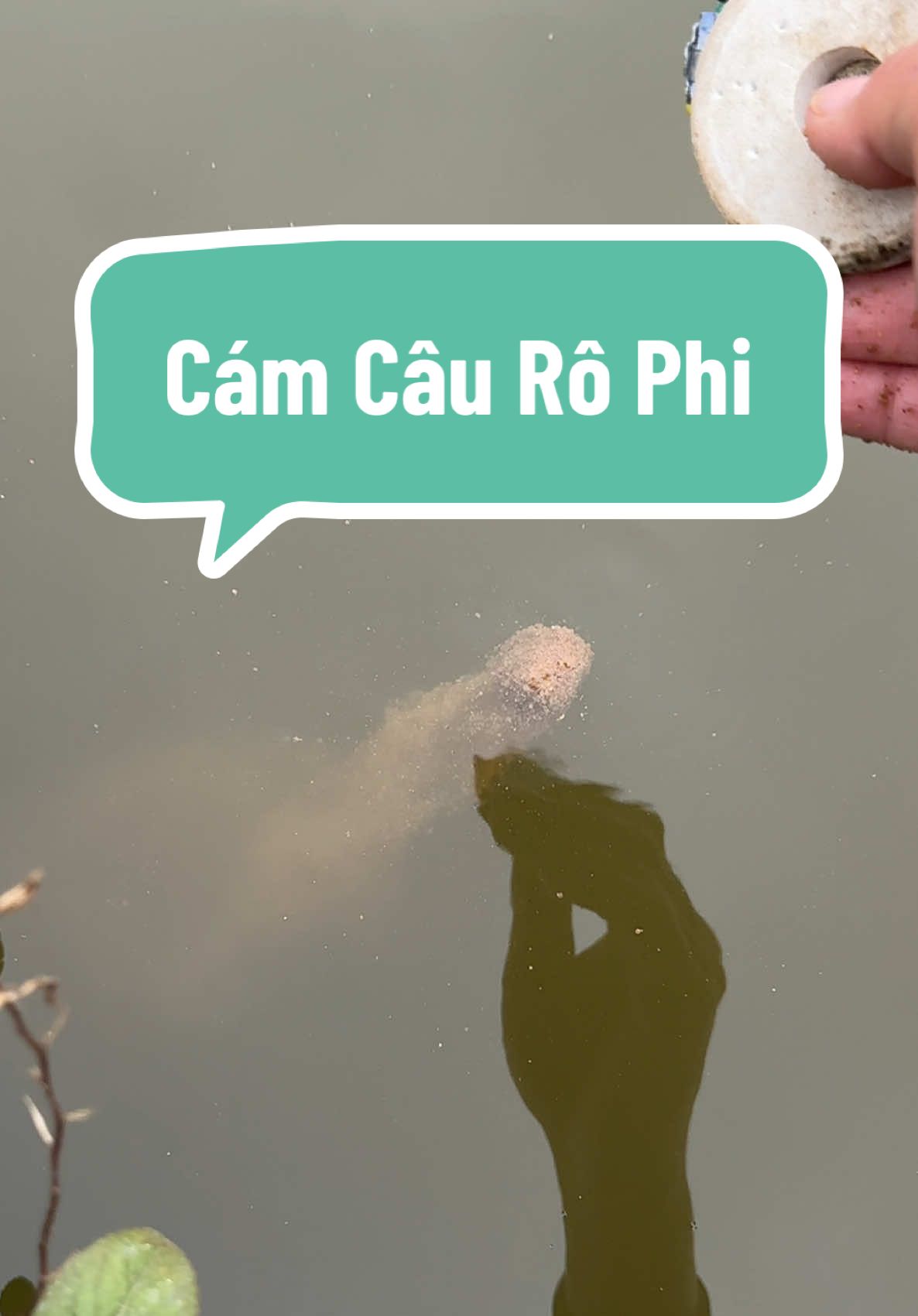 Cám Nền Câu Rô Phi vị Tanh gói 1kg chỉ 30k #cauca #caucagiaitri #ngovanquan68 