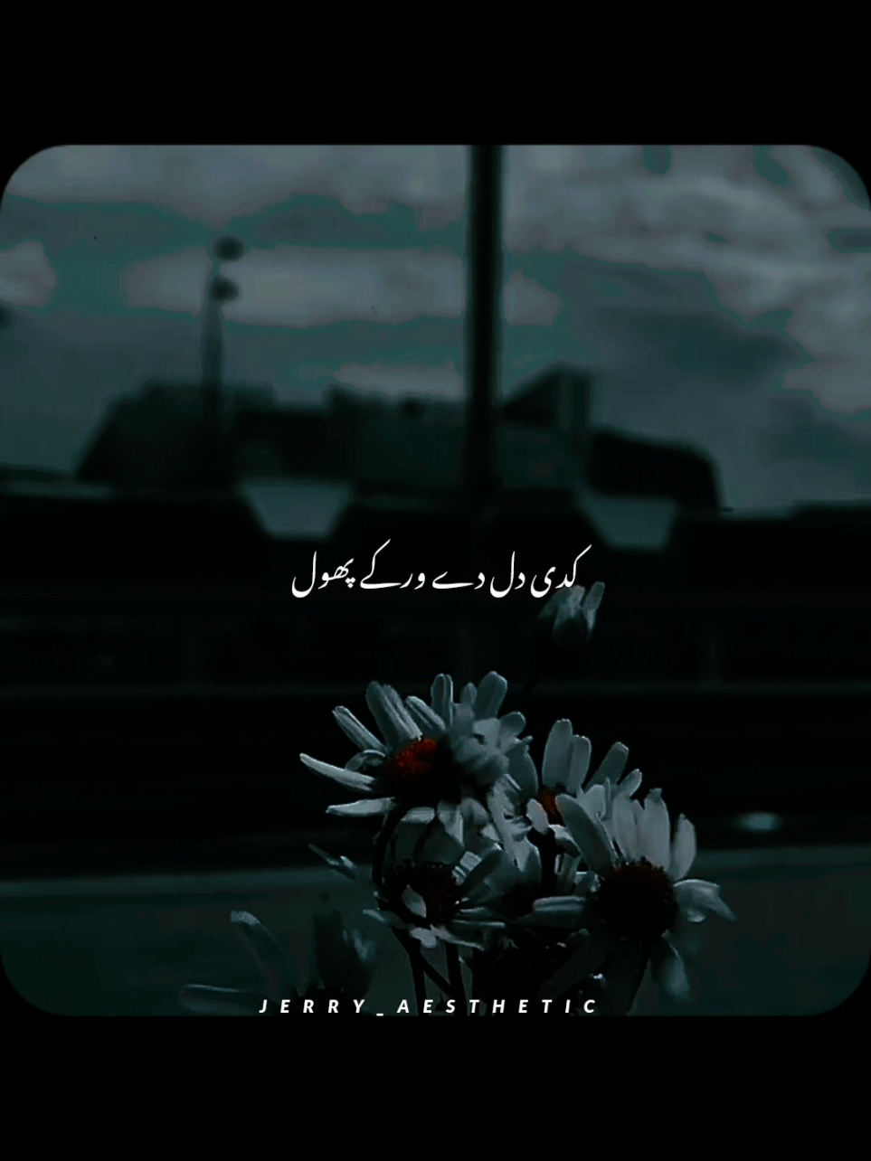 𝗞𝗜𝗦 𝗞𝗜𝗦 𝗖𝗜𝗧𝗬 𝗦𝗔 𝗗𝗘𝗞𝗛 𝗥𝗛𝗬 𝗛𝗔𝗜𝗡 ?? 🌸🥺❤️‍🩹🥀😩🕊️ // 𝗥𝗘𝗣𝗢𝗦𝗧 𝗥𝗘𝗤𝗨𝗘𝗦𝗧 // 𝗙𝗢𝗟𝗟𝗢𝗪 𝗥𝗘𝗤𝗨𝗘𝗦𝗧 // 𝘗𝘭𝘻 𝘛𝘪𝘬𝘵𝘰𝘬 𝘛𝘦𝘢𝘮 𝘜𝘯𝘧𝘳𝘦𝘦𝘻𝘦 𝘔𝘺 𝘈𝘤𝘤𝘰𝘶𝘯𝘵😭 //𝘞𝘢𝘯𝘵 𝘛𝘰 𝘎𝘳𝘰𝘸 𝘔𝘺 𝘈𝘤𝘤𝘰𝘶𝘯𝘵..𝘗𝘭𝘻 𝘜𝘯𝘧𝘳𝘦𝘦𝘻𝘦 𝘒𝘢𝘳 𝘋𝘰 𝘈𝘤𝘤𝘰𝘶𝘯𝘵 // #100k #aestheticlover #song #jerry_aesthetic_96  #1millionaudition 