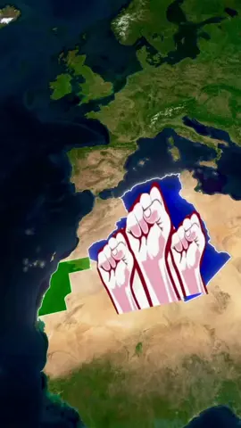 #مغربية🇲🇦 #مغربية🇲🇦بنكهة_جزائرية🇩🇿 #الشعب_الصيني_ماله_حل😂😂 #الشعب_الصيني_ماله_حل 