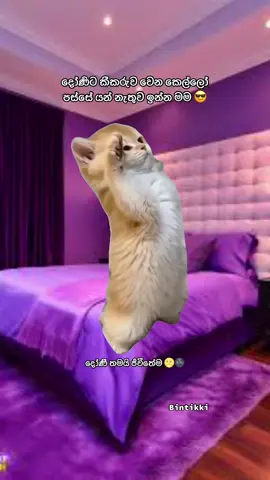 #MemeCut #Meme  මගේ දෝණීයෝ 😎#foryou #everyone 