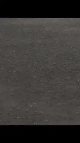 are you the winner or loser?