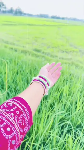 সর্বদা একটা সুন্দর নসিবের জন্য দোয়া করো,নিখুঁত নসিবের জন্য নয়......!!  শান্তি পূর্ণতার চেয়েও বেশি গুরুত্বপূর্ণ...! 🤍🕊#unfrezzmyaccount #tiktokoficial #tiktokbangladesh🇧🇩 #viralvideo @TikTok 