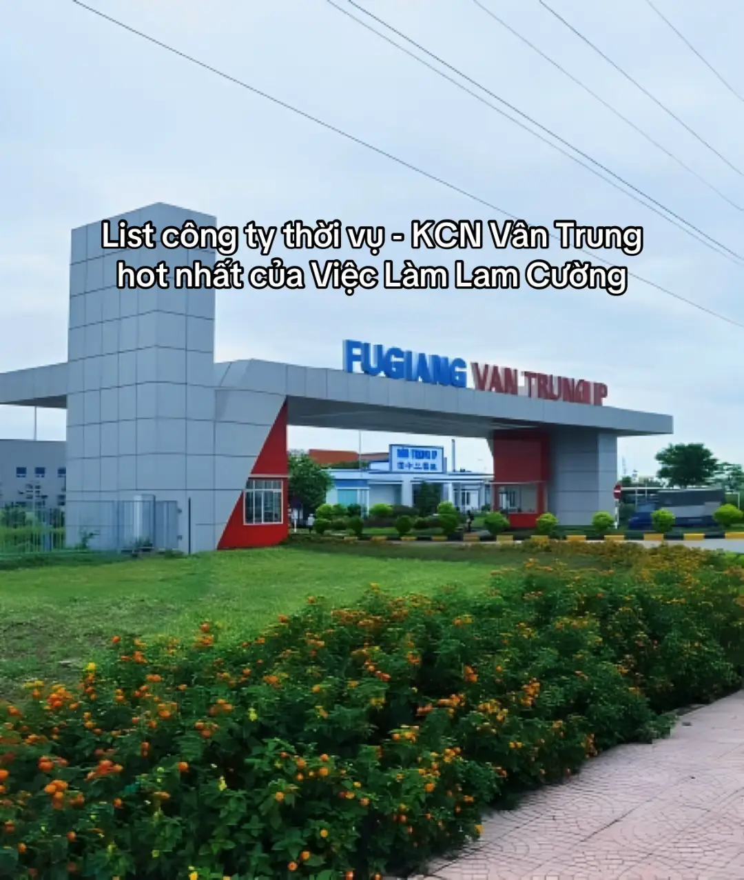 Ai chán làm chính thức thì mình chuyển qua là thời vụ các bạn ơi #lamcuonggroup #xuhuongtiktok 