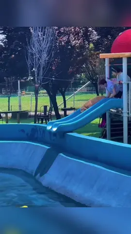 Funny Golden Retriever #funny #dog #fyp #pet #animals 