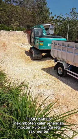 #CapCut #fyppppppppppppppppppppppp #elefkucing #matrialarts 