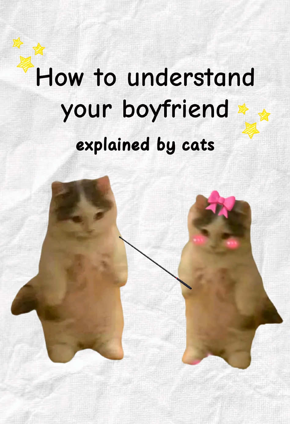 How to understand your boyfriend #kittycat #cats #catanimation #kittyexplains 