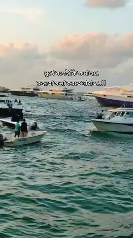 #tiktok #vairal #video #foryou #মালদ্বীপ🇲🇻🇲🇻প্রবাসী 