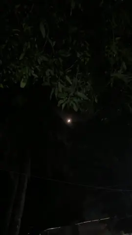 হুমায়ুন ফরিদী বলেছেন– সময়ের সাথে সাথে আমরা মানিয়ে নেই ঠিকই, কিন্তু জোড় পূর্বক মেনে নেওয়া যে কতটা যন্ত্রণার তা আল্লাহ ছাড়া কেউ জানে নাহ.....!!☺️❤️‍🔥🩹🕊   #fyp #foryou #moon_lover_29 #videography #moon 