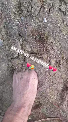 #mamaia #tiktok #mare #foryou #pamflet 