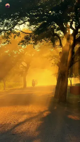 ဆောင်းရာသီ ပုဂံလာလည်တဲ့ အခါ E - Bike စီးမယ်ဆိုရင် Mask ပဝါ ဦးထုပ် မျက်မှန် မပါမဖြစ် ယူလာခဲ့ပါ  ညနေဘက်ဆို ဖုန်တွေ အရမ်းများတယ်…. #foryou  #bagan  #baganlover 