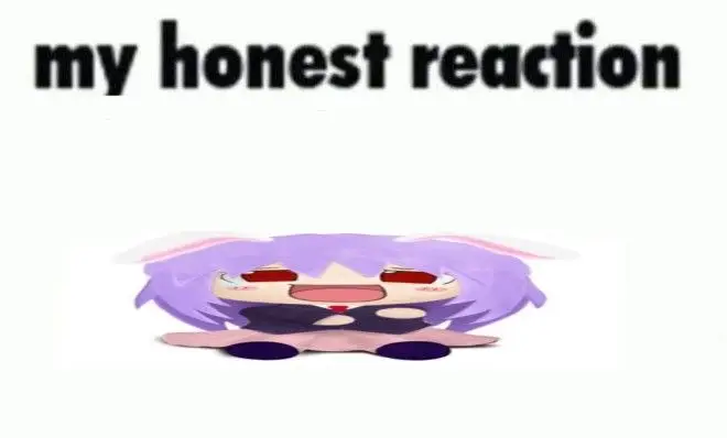 #tiktok #fyp #touhou #touhoumemes #memes 