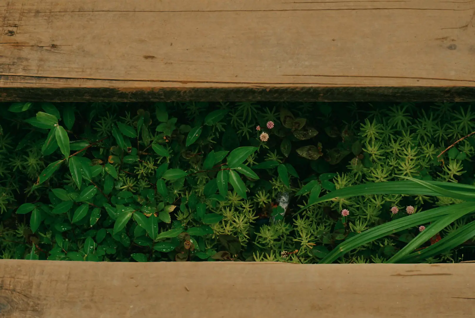 Người ta nói kẻ thích ngắm bầu trời là kẻ mộng mơ. Mình thì không mộng mơ, mình chỉ thích ngắm bầu trời để thấy mình thật nhỏ bé 💫 #taxua #dulich #thiennhien 