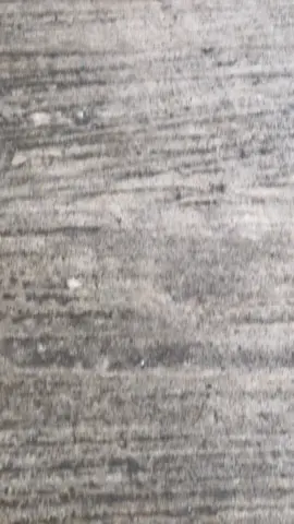 😌#fyppppppppppppppppppppppp 