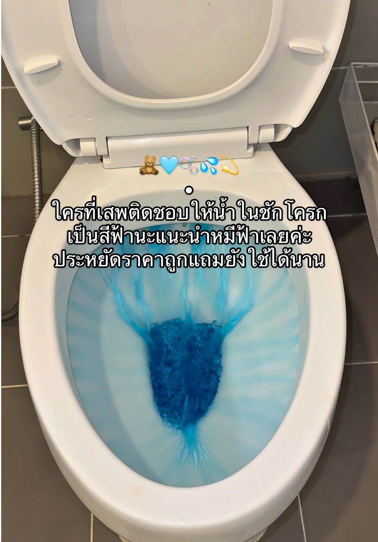 🧸🩵ใครที่ชอบให้น้ำในชักโครกเป็นสีฟ้าแต่เป็นสายประหยัดแนะนำหมีฟ้าดับกลิ่นชักโครกเลยค่ะถูกแถมใช้ได้นานและยังมีกลิ่นหอมอ่อนๆคุ้มมาก #หมีฟ้า #หมีฟ้าดับกลิ่น #หมีฟ้าดับกลิ่นโถสุขภัณฑ์ #ดับกลิ่นชักโครก #หมีฟ้าดับกลิ่นในห้องน้ํา 