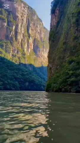 #قرآن_كريم_راحة_نفسية #ياسر_الدوسري