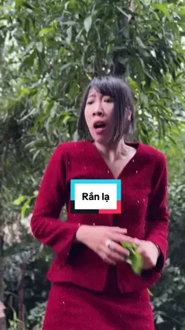 Chị đã cố gắng lắm rồi #beaodo 