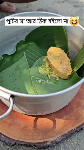 ছাউনি ছাড়া রান্নাঘরে ইলিশ ভাপা রেসিপি 🫣 ইলিশের হাট চাঁদপুর #skitsbytapashi #puchifamily #puchirma #বনবিড়াল 