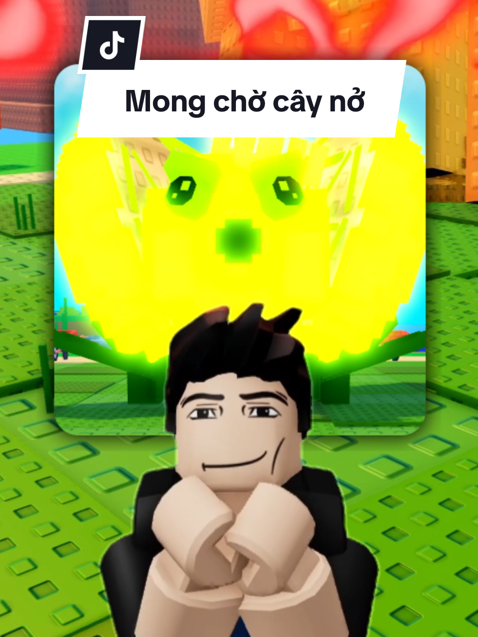 Cầu gì chắc chắn được nấy 🤭 #roblox #robloxvng #robloxfyp #robloxgames #plantsvsbrainrots 