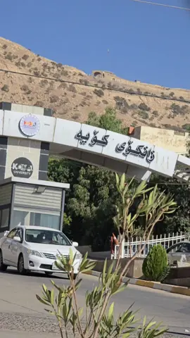 #koya_tecnical_institute #koya_universty #koya 