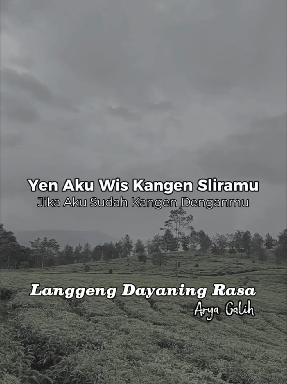 Arya Galih - LDR (Langgeng Dayaning Rasa) #aryagalih #langgengdayaningrasa #liriklagu #lagujawa #CapCut #capcutpioneer #pioneertemplate #fyp 