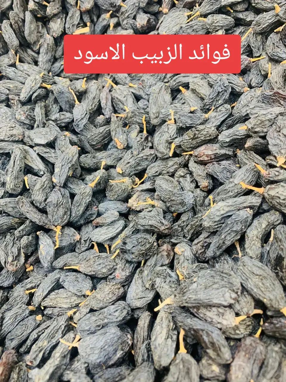 يتميز الزبيب الأسود بفوائد صحية متعددة، فهو غني بمضادات الأكسدة، الألياف، والحديد، مما يدعم صحة القلب، الهضم، ويعزز طاقة الجسم ويقاوم فقر الدم. كما أنه يحسن صحة العظام والبشرة والشعر، ويساعد في مكافحة الالتهابات، ويوفر الحماية ضد الأمراض المزمنة.  فوائد الزبيب الأسود الصحية مصدر للطاقة: يوفر طاقة سريعة تجعله وجبة خفيفة مثالية قبل أو بعد التمارين الرياضية.  دعم صحة القلب: يساعد في خفض الكوليسترول الضار وتنظيم ضغط الدم بسبب محتواه من البوتاسيوم.  تحسين الهضم: يحتوي على ألياف غذائية مفيدة لعملية الهضم وصحة الأمعاء.  مقاومة فقر الدم: يعد مصدراً غنياً بالحديد اللازم لإنتاج خلايا الدم الحمراء، مما يساعد في الوقاية من فقر الدم (الأنيميا).  تعزيز صحة العظام: غني بعنصر البورون الذي يساعد في زيادة كثافة العظام والوقاية من هشاشة العظام.  تحسين صحة البشرة والشعر: مضادات الأكسدة فيه تساعد في تنقية الدم من الشوائب، مما يؤدي إلى بشرة صافية ونضرة، ويساعد في تقليل تساقط الشعر.  مكافحة الالتهابات: يمتلك خصائص طبيعية تساعد في مكافحة الالتهابات في الجسم.  صحة الفم والأسنان: يساهم في تحسين صحة الفم والأسنان بفضل خصائصه المضادة للبكتيريا.  الحماية من الأمراض المزمنة: مضادات الأكسدة الموجودة فيه مثل البوليفينول والفينول تساعد في الحماية من الأمراض المزمنة.  #الخميس  #المدينه  #الدرب  #