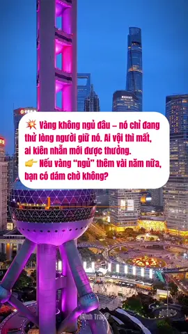 ✨ Liệu vàng sắp đóng băng như giai đoạn 2011–2020? 💬 Sau chuỗi tăng mạnh, không ít nhà đầu tư bắt đầu lo... “liệu vàng có đang chuẩn bị bước vào giấc ngủ dài 10 năm như trước?” 📉 Giai đoạn 2011–2020, vàng thế giới từng đạt đỉnh 1920$/oz rồi lao dốc và đi ngang gần 9 năm — ai ôm lúc đó đều “ngủ quên cùng vàng”. Nhưng giai đoạn này bối cảnh đã khác 🌍 Lạm phát chưa thật sự hạ 💵 USD yếu dần sau chu kỳ tăng lãi kéo dài 🏦 Nhiều ngân hàng trung ương vẫn mua vàng mạnh tay như một “lá chắn” an toàn ⚔️ Căng thẳng địa chính trị vẫn âm ỉ khắp nơi 💡 Nghĩa là vàng có thể nghỉ ngơi trong ngắn hạn, nhưng khả năng “đóng băng thập kỷ” như xưa gần như rất thấp 🌞 Ai hiểu chu kỳ sẽ biết, những nhịp chỉnh là để tích luỹ, không phải kết thúc sóng ❤️ Chúc anh em ngày mới bình an – tỉnh táo trước mọi tin tức Và đừng quên, vàng chỉ ngủ với người vội – còn thưởng cho người kiên nhẫn #vàng #forex #dautuvang #xuhuongtiktok #fyp 