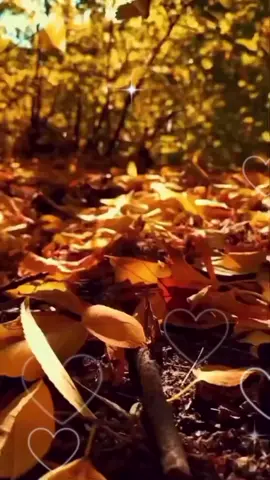 #31октября #осень2025 #новинки #доброеутро #открытка 