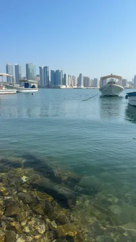 #عرعر_عرعرنا_الحدود_الشماليه_عرعرنا #تصميم_فيديوهات🎶🎤🎬تصميمي🔥 #explore #fyp 