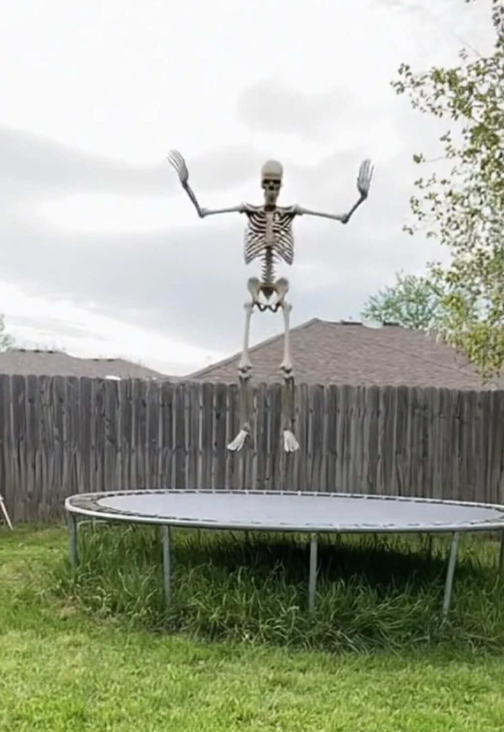 Omg…. mr skeleton… #halloween #funny #ai #scary #horror 