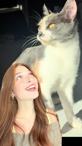 qualsiasi cosa di cui possiate (o no lol hihi) aver bisogno.. Amazon Haul e via! è comodo, c’è di tutto e risparmi😋 #adv #AmazonHaul #AmazonHaulIT 