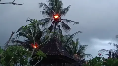 Tersambar Petir lokasi di Keramas Gianyar fb@Ajunk Sena #petir #pohonkelapa #fyp #viral #hujan 