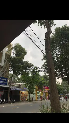 :>>#TikTokAwardsVN #fyp #xuhuongtiktok #reikoo #captinhyeudethuong 