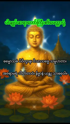 #မေတ္တာပို့#ပါချုပ်ဆရာတော်ဘုရားကြီး #ဓမ္မဒါန #buddha #တရားတော်များ 