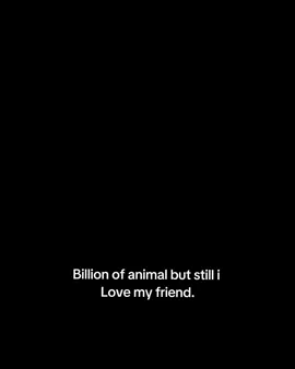 #fyp #centralcee #stangar_society👤 #foryoupage #feelings💔@𝕾𝖚𝖉𝖊𝖊𝖕 @Kaaleyy_3 @Nabadip 