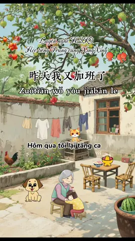 #hoctiengtrungcungxingxing #sachtiengtrung #tuhoctiengtrung #cunghoctiengtrung #tiengtrunghsk 