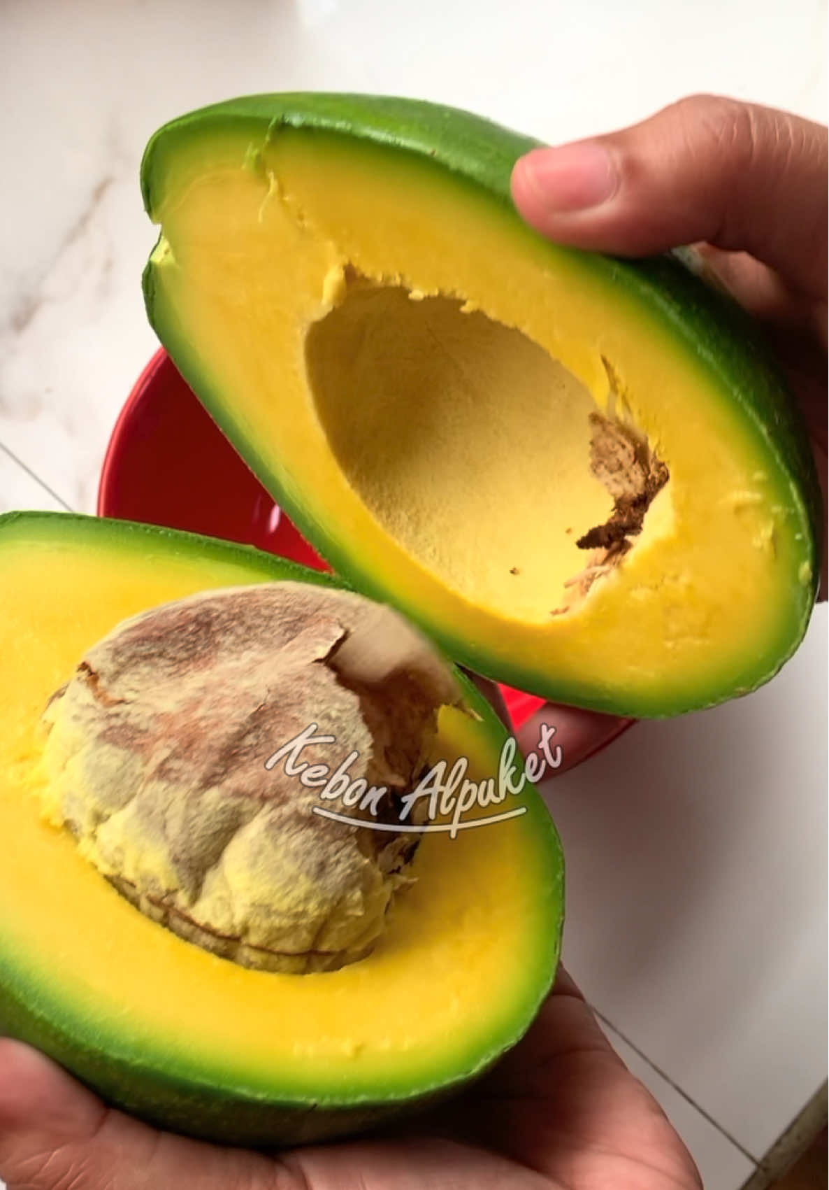 Siap dibungkus nih, alpukatnya bikin ngiler ga sih? #alpukat #kebonalpukat #alpukatmentega 
