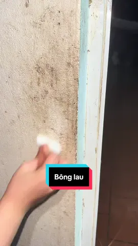 Đến mùa dọn dẹp rồi các chị ơii #vesinhnhacua #dondepnhacua #bonglau #melanin #xh 