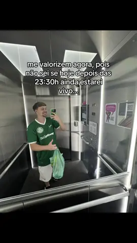 valorizem… #palmeiras #semifinal 