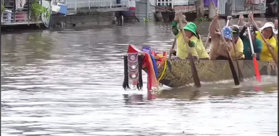 Độc mộc chị em Ngang Dừa hôm nay #GHENGOKHMER #ghengochuangandua #xuhuong #duaghengosoctrang #fl 