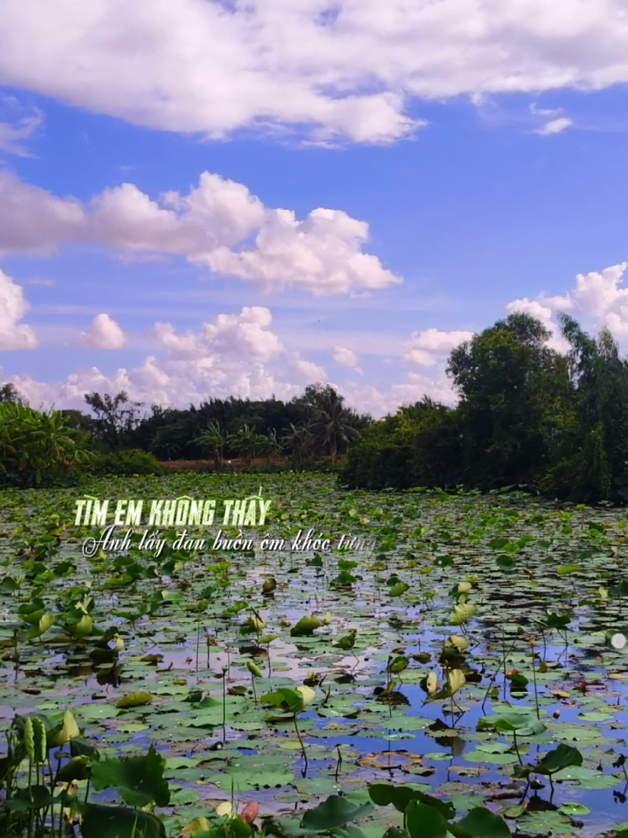 Thôi đành hẹn người kiếp sau 😔 #nhachaymoingay  #xuhuong2025  #foryou  #fyp  #tienst83 