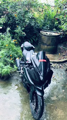 #r15v3#ghorahidang #fyppppppppppppppppppppppp 