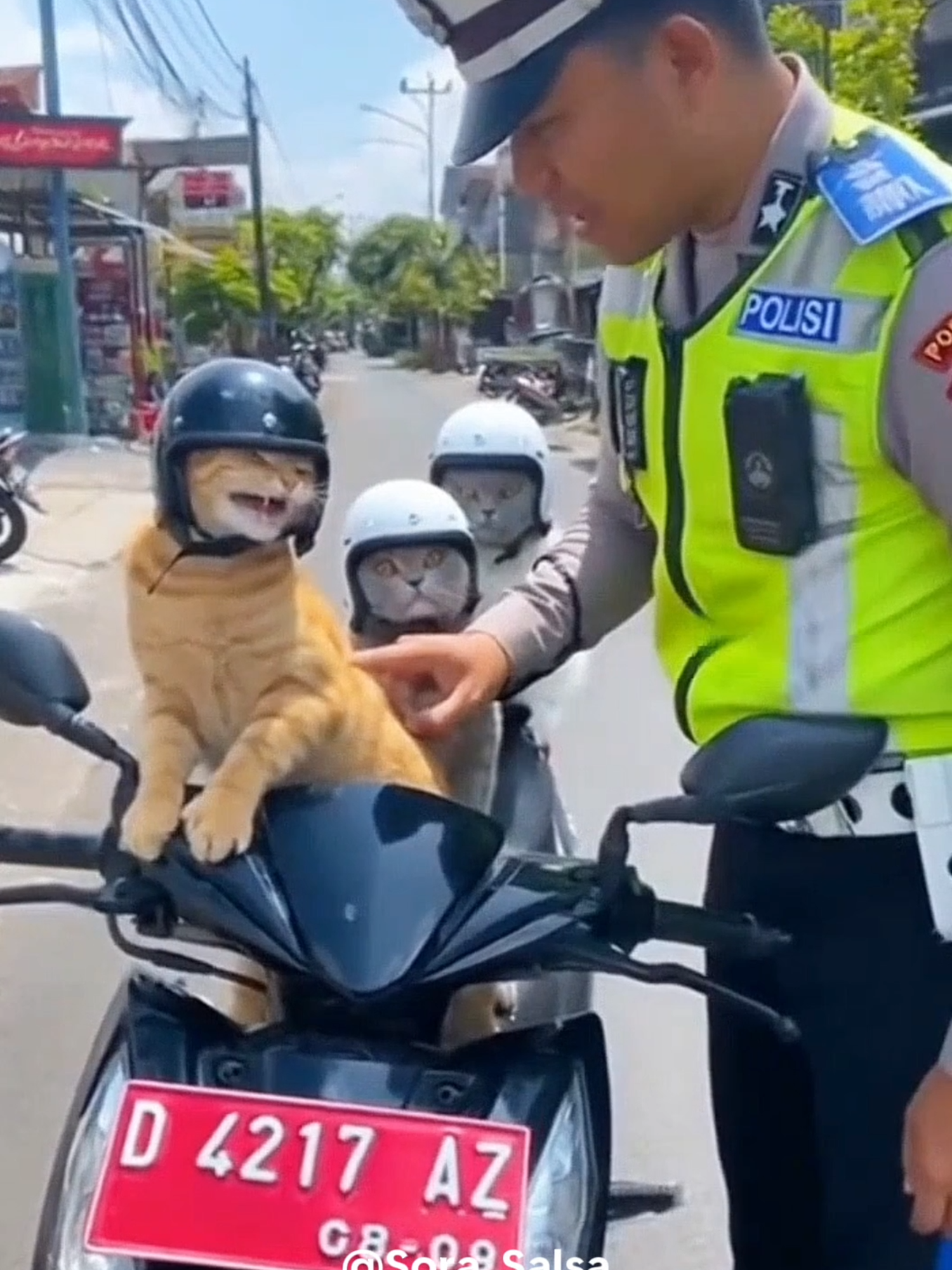 pakai helm lengkap, tapi malah gelitikin 😸😹😹 Oyen Lolos gak ditilang  pak polisi 😆 #ai #cat #kucinglucu #sora #fyp #fypindonesia