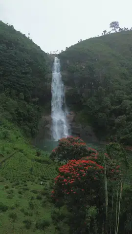 සොබාදහමේ සිත්තම් රටා අපේ ඇස් සොරාගන්නා අපූරු ව #travelling #srilankan_tik_tok🇱🇰 #travel #maskeliya #gartmore_falls 