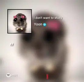 ကိုယ်နဲ့ကိုက်တဲ့သီချင်းလေး🥹🤌 #sunoai #yoon #fypシ゚ #viwer1million 