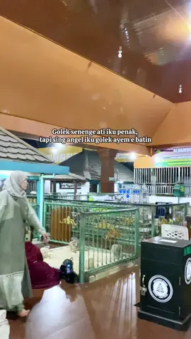 #ziarah #sunangiri #gresik 