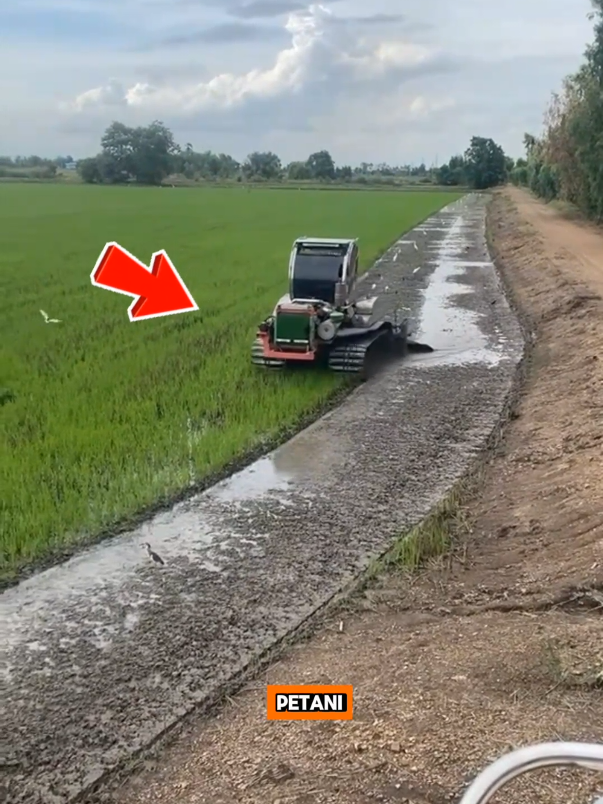 Jangan remehkan ukurannya! Traktor mini ini bisa membajak sawah seluas lapangan bola tanpa mogok dan tanpa tenggelam. Cocok banget buat petani modern yang mau kerja cepat, hasil rapi, dan hemat tenaga. Lumpur bukan penghalang, tapi arena mainnya si ninja sawah ini! 🚜💪 #TraktorMini #BajakSawah #AlatPertanianModern #MesinBajakSawah #PetaniModern 