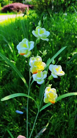 🌷🌷🌷#crochetflower 