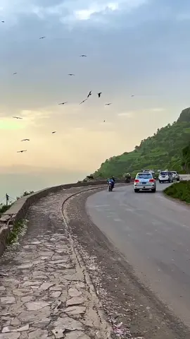 مساء الخير 🙂🌷#ولنا_في_الطبيعه_خيال #مناضر_طبيعيه_جميله #اكسبلورexplore #صنعاء_تعز_عدن_اب_ذمار_حجة_حضرموت #محافظة_اب🇾🇪 